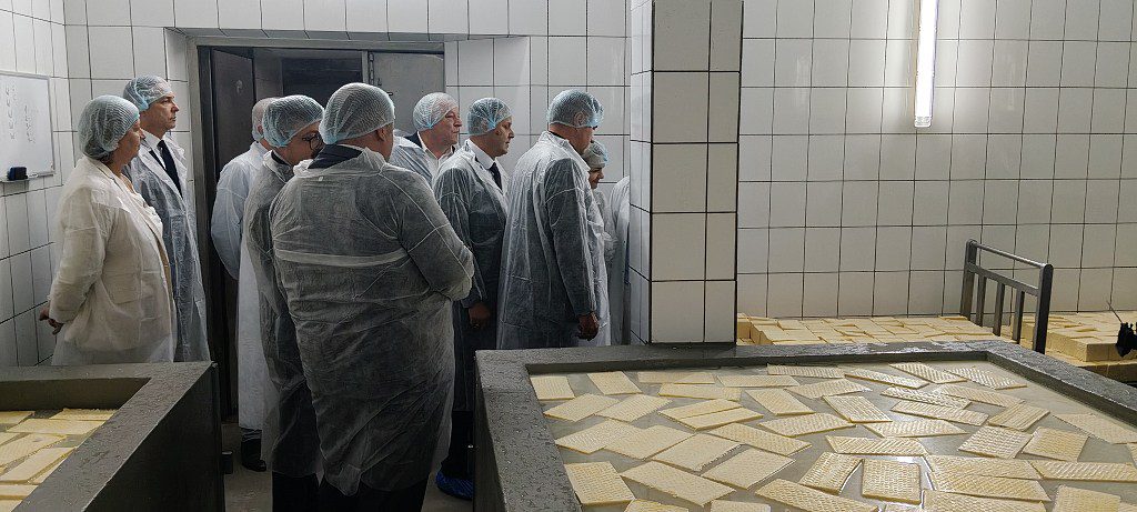 Grupa osób w białych fartuchach i czepkach obserwuje proces produkcji sera w zakładzie mleczarskim