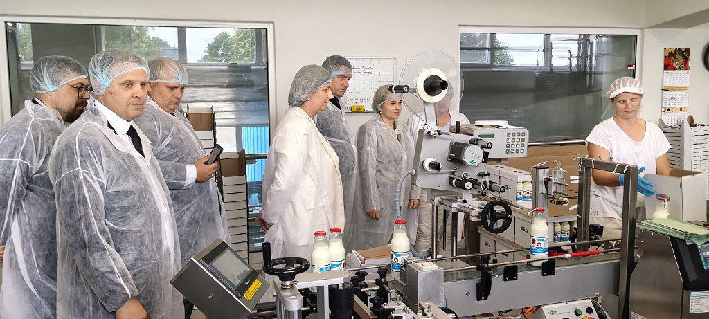 Grupa osób w odzieży ochronnej obserwuje linię produkcyjną butelkującą mleko