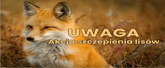 Informacja