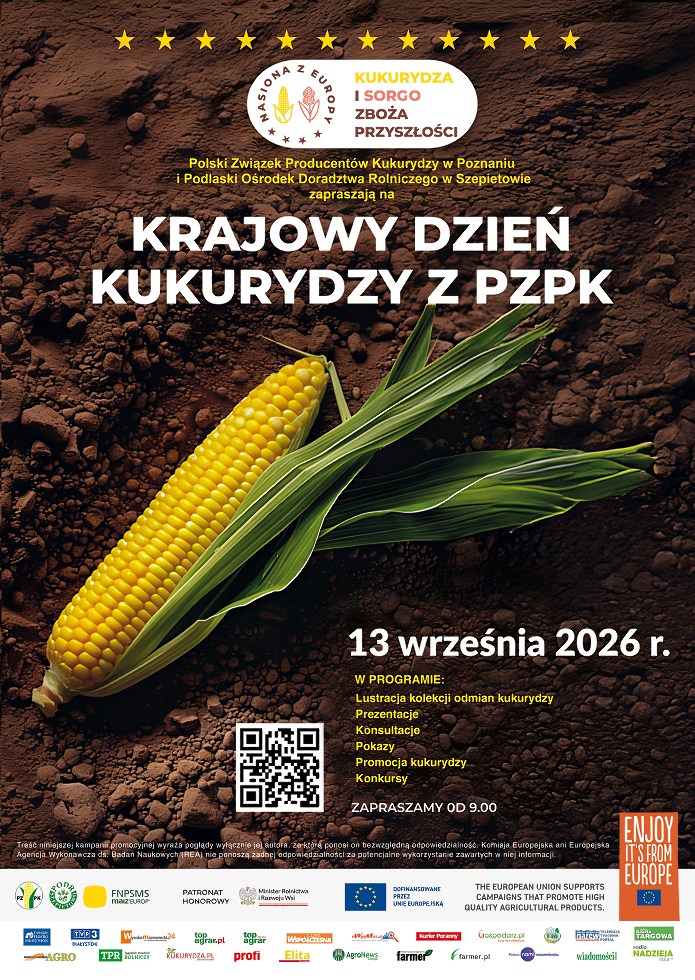 Plakat wydarzenia Krajowy Dzień Kukurydzy z PZPK, 13 września 2026 r. od godz. 9:00. W tle żółta kolba kukurydzy na ziemi