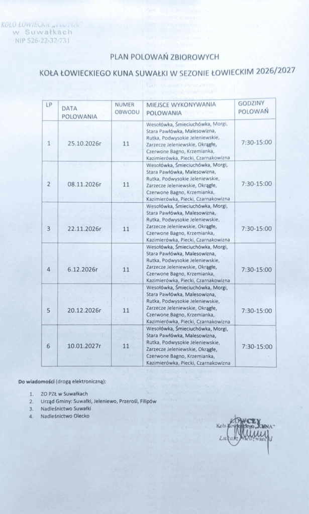 Tabela z planem polowań zbiorowych Koła Łowieckiego Kuna Suwałki w sezonie 2026/2027 zawierająca daty, miejsca i godziny