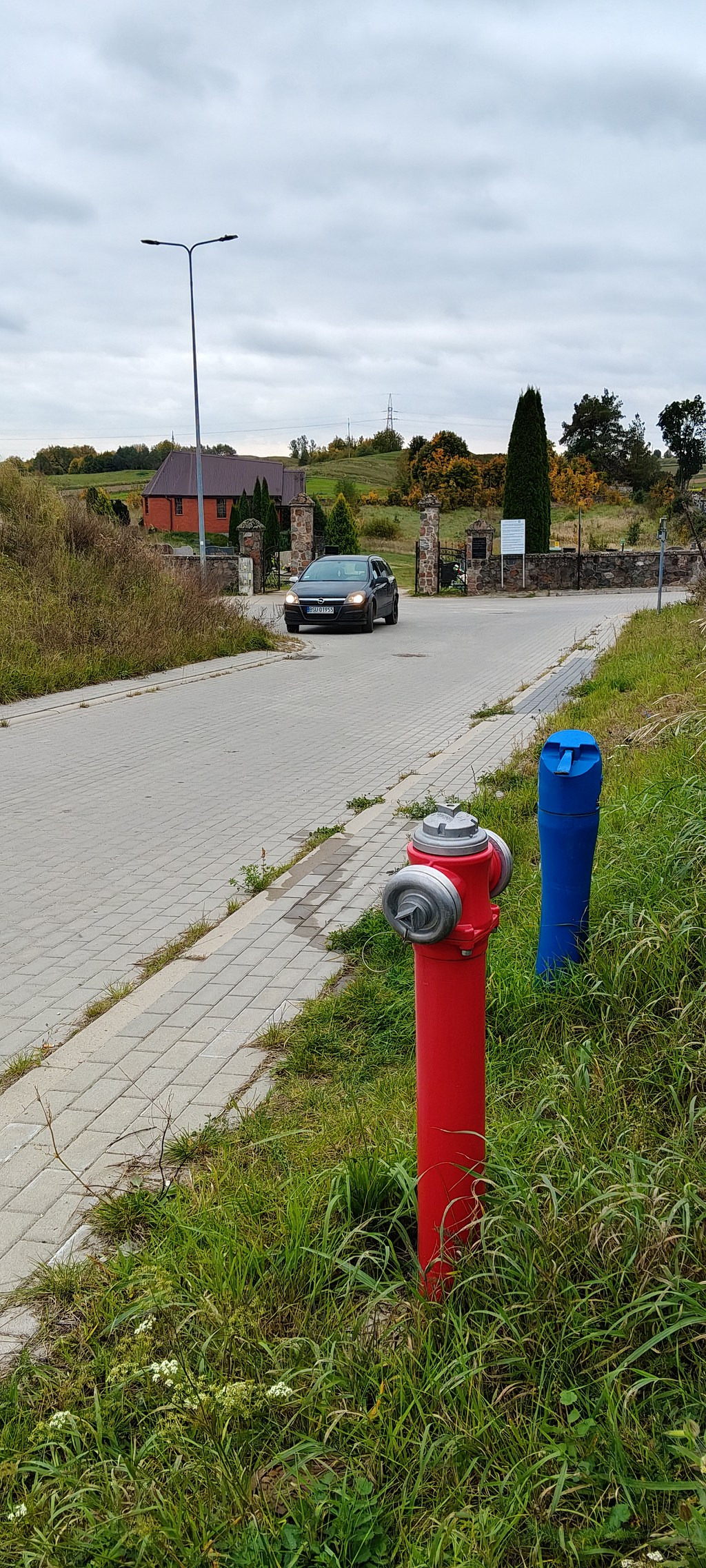 Czerwony hydrant i niebieski słupek wodny w trawie przy brukowanej drodze.