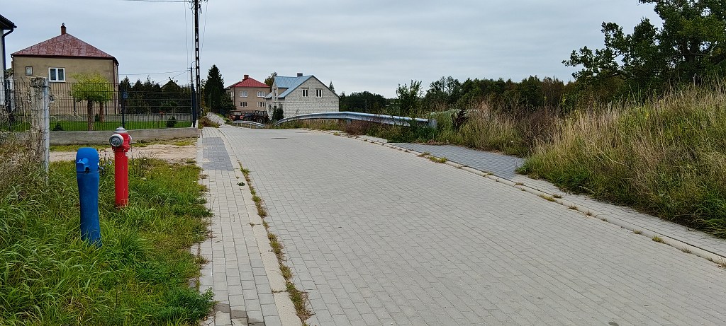 Kostkowana droga wiejska z niebieskim i czerwonym hydrantem po lewej stronie oraz domami jednorodzinnymi w tle